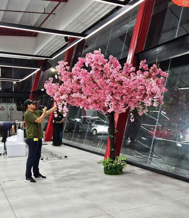 Patio de Carros Toyota